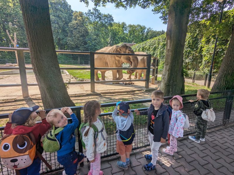 3 latki w ZOO - zdjęcie 13