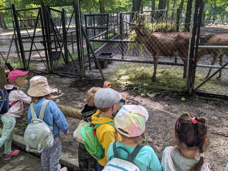 3 latki w ZOO - zdjęcie 18